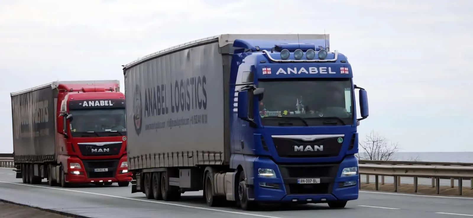 Anabel Logistics Fleet